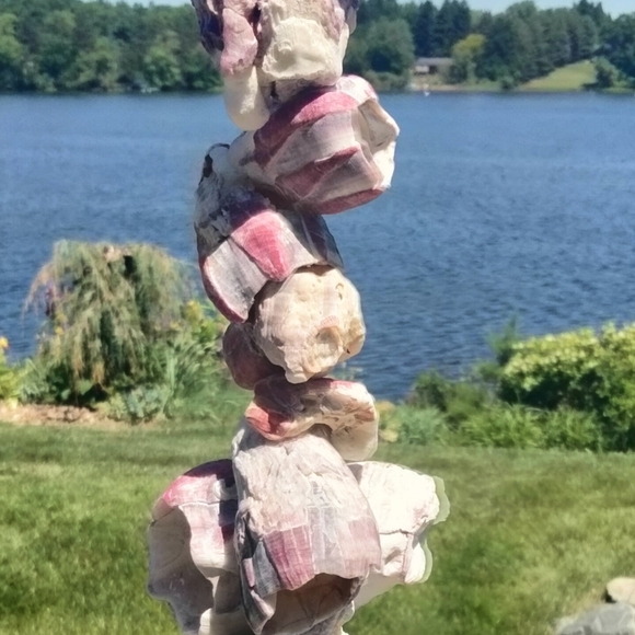 Shell decor Barnacle cluster art. Beach art - Picture 11 of 15